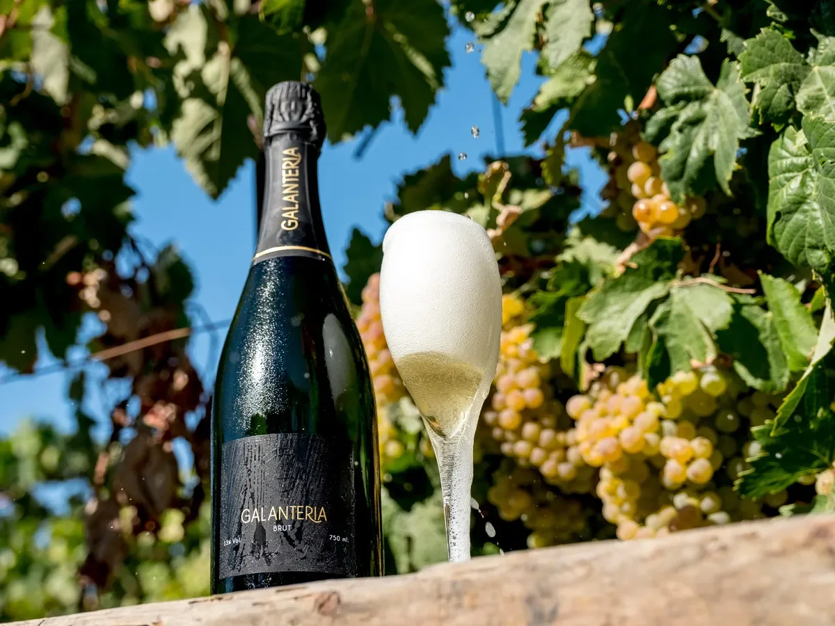 Weinprobe mit Aperitif und fünf unserer prämierten Weine