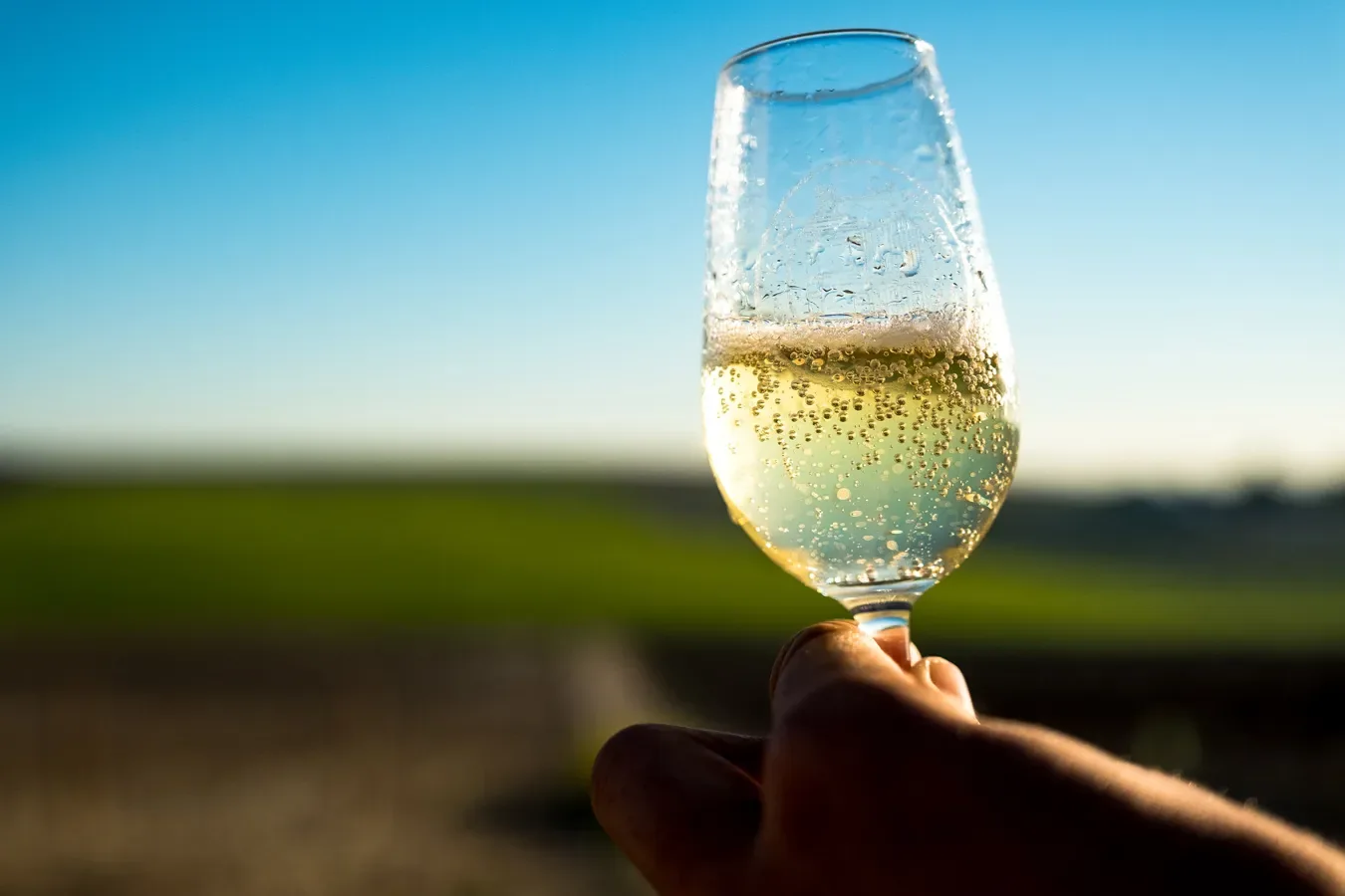 Ein Glas Galantería-Schaumwein im Licht des Weinbergs