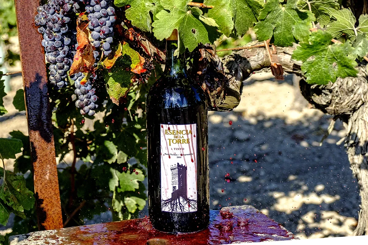 Freitags-Weinprobe