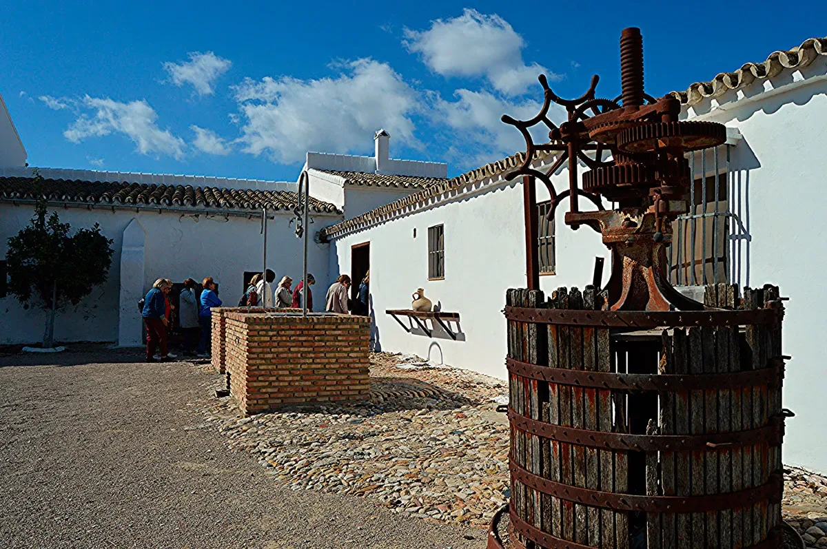 Zwischen Jerez und El Puerto.