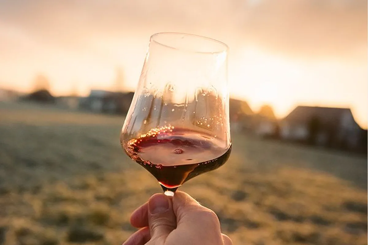 Enoturismo, la mejor cata de vino de jerez